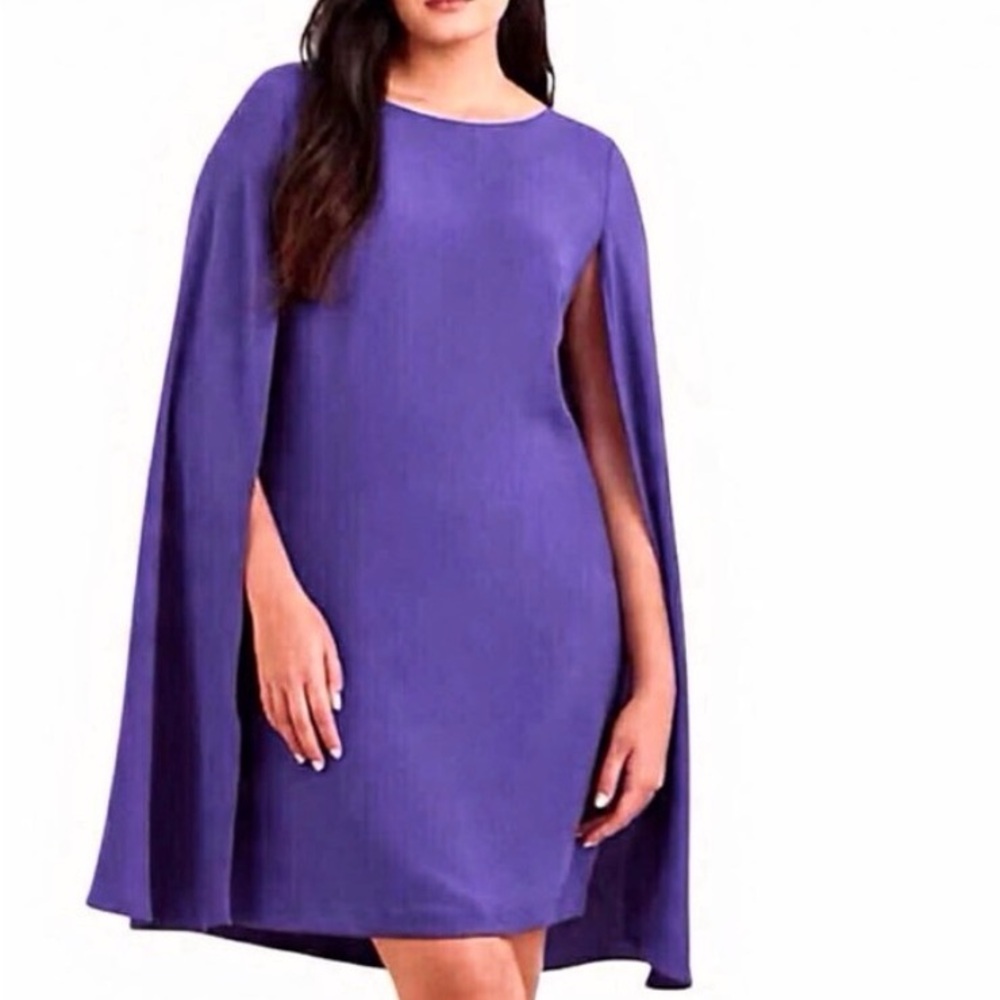 NWT Cape Georgette Cocktail Dress, Size 4